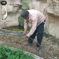 خدمات برق ساختمانی نور مازند|خدمات پیشه و مهارت|قائم‌شهر, |دیوار