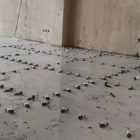 کاشی و سرامیک|خدمات پیشه و مهارت|نجف‌آباد, بازار|دیوار