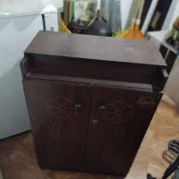 جاکفشی سالم