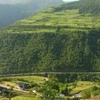 هفتصد متر زمین با خانه سرا قدیمی