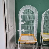 قفس تمیز