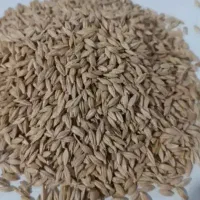 جو درجه یک آرپا دوردیفه