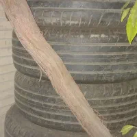 لاستیک ماشین فونیکس صفر