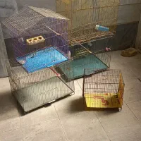 قفس بزرگ و کوچک|لوازم جانبی حیوانات|قزوین, |دیوار