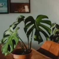 لطفا راهنمایی کنید