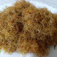 ریشه زعفران