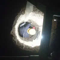 چاه کن زیرقمت مناسب