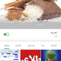 استخدام شاطر تافتون سنتی دولتی