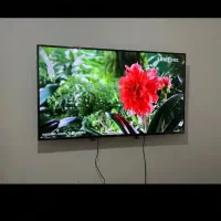 تلویزیون 65ال. ای دی و50|تلویزیون و پروژکتور|شیروان (خراسان), |دیوار