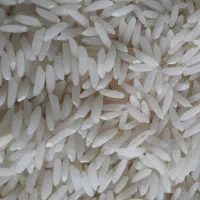 فروش برنج کشت دوم