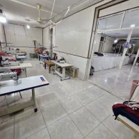 چرخکار تریکودوز