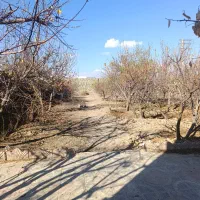 1030-متر-باغ-سند-تک-برگ-سه-نبش-بر-کانال-صباشهر