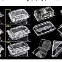 پخش ظروف یکبار مصرف