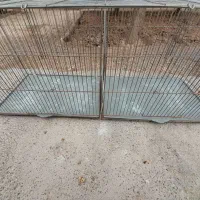 قفس جوجه پرون