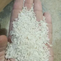 برنج هاشمی درجه یک