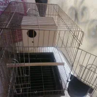 قفس پرنده و لانه چوبی|لوازم جانبی حیوانات|تهران, شادآباد|دیوار