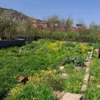 زمین-مسکونی-التپه-بهشهر