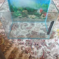 آکواریوم|لوازم جانبی حیوانات|سنندج, |دیوار