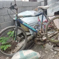 3عدد دوچرخه یایکجایابه صورت تکی بفروش میرسد