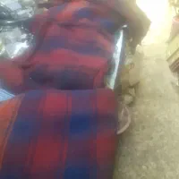 موج