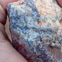 شجر|جواهرات|رفسنجان, |دیوار