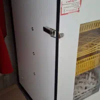 دستگاه جوجه کشی هدایت ۱۲۶ تایی|لوازم جانبی حیوانات|ساری, |دیوار