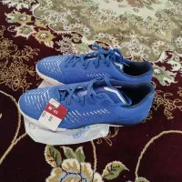 کتونی سالن کیپستا مدل ginka500 آبی|کیف، کفش، کمربند|قم, شهدا|دیوار
