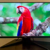 مانیتور فلگ شیپ گیمینگ 2k|قطعات و لوازم جانبی رایانه|تهران, نیاوران|دیوار