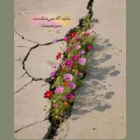 همفکری جهت ایجاد شغل