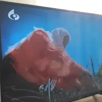 تلوزیون|تلویزیون و پروژکتور|سمنان, |دیوار