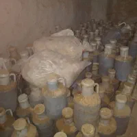 خیار|خوردنی و آشامیدنی|شیروان (خراسان), |دیوار