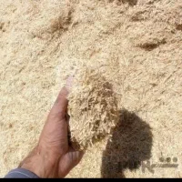 کاه گندم دیم