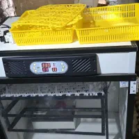 دستگاه جوجه کشی افرینش