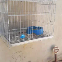 قفس جفت کن