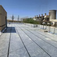 ایزوگام نژادبابا