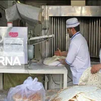 نیازمند شاطر حرفه ای