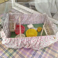 قفس جفت کن|لوازم جانبی حیوانات|اصفهان, سرتاوه|دیوار