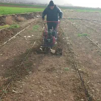 کلیه خدمات باغبانی