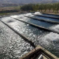 فروش پرورش ماهی|فروش دفتر صنعتی، کشاورزی، تجاری|ماهنشان, |دیوار