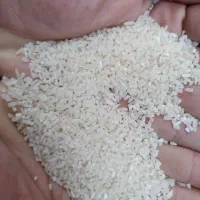 برنج نیم دانه|خوردنی و آشامیدنی|آمل, |دیوار