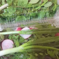 نیروی خانم سبزی مارکت