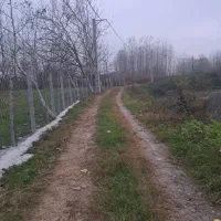 زمین-صنعتی-شرکت-ثبت-شده-1550متری-بسته-بندی-غذایی