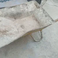 فرقون