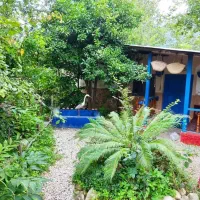 اجاره شبانه کلبه جنگلی