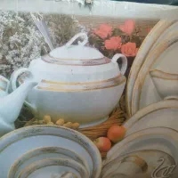 چینی توس