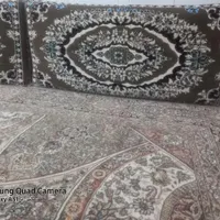 پشتی سالم