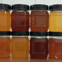 زعفران اصل و محصولات ارگانیک