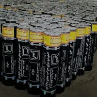 انجام کلیه عایق های رطوبتی|خدمات پیشه و مهارت|قروه, |دیوار