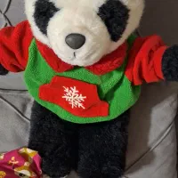 ۳عدد عروسک بهفروش میرسد