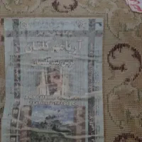 قالی|فرش|مشهد, کوی المهدی|دیوار